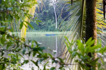 Tortuguero (CR)