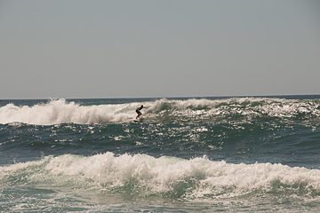 IMG_8903