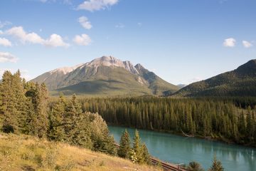 IMG_0590