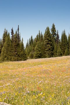 IMG_9919