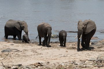 IMG_7630
