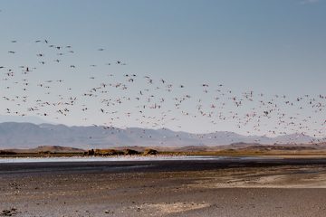IMG_6911