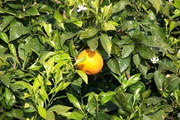 100_2140.jpg