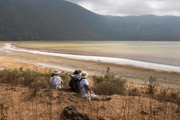 IMG_6566