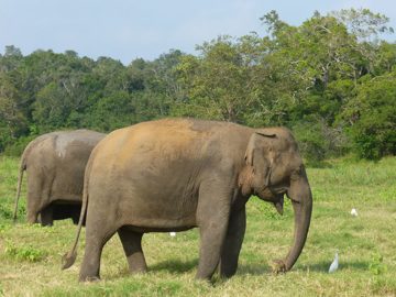14022014-89-2