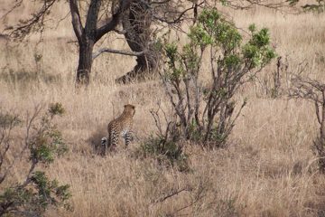 P-IMG_6626-2