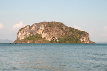 IMG_1153