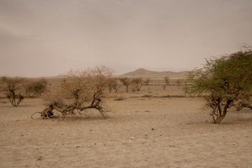 IMG_6789