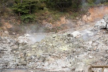 IMG_8808