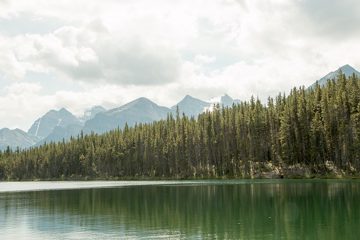 IMG_0264