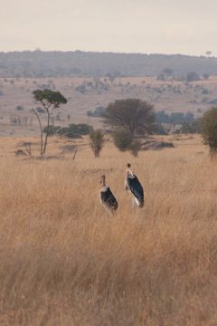 P-IMG_7000-2