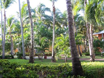 100_2597.jpg