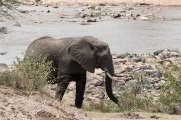 IMG_7660