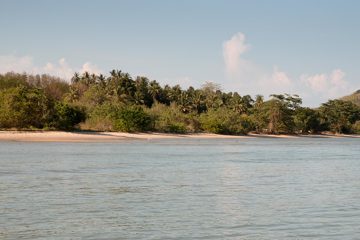 IMG_1157
