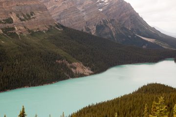 IMG_0337