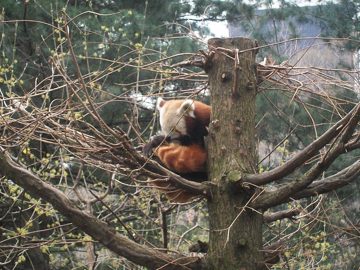 100_0454.jpg