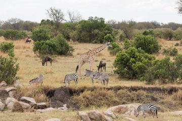 IMG_7440