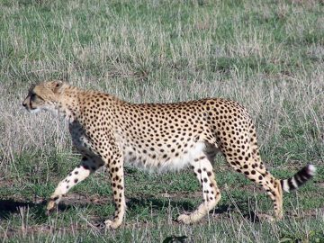 100_1575.jpg