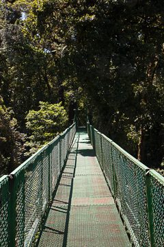 IMG_8710