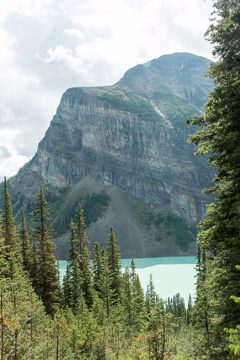 IMG_0248