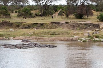 IMG_7437