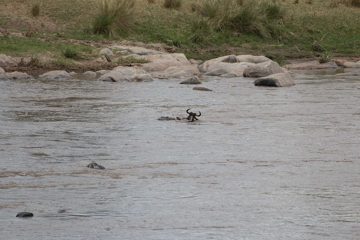 IMG_7695