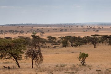 IMG_7207