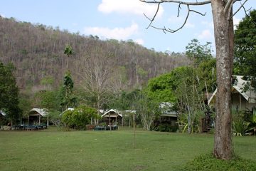 IMG_0437.jpg