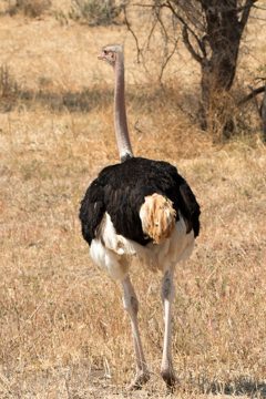 IMG_6102
