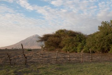IMG_7048