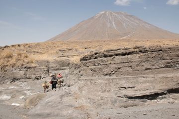 IMG_6775