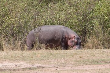 IMG_7595