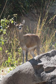 IMG_7590
