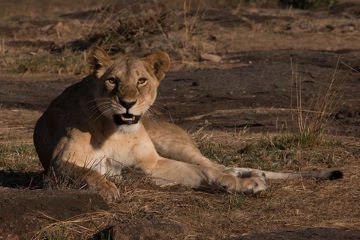 IMG_7270-2