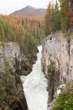 IMG_0130