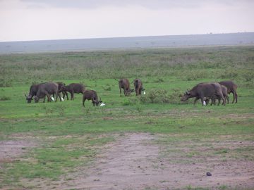 100_1280.jpg