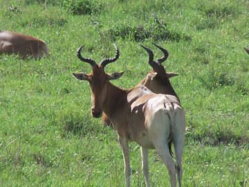 100_1473.jpg