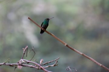 22022012-232.jpg