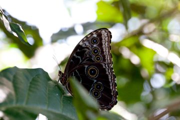 19022012-44.jpg