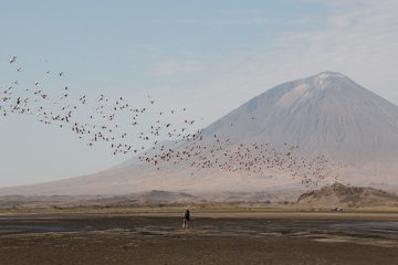 IMG_6910
