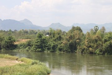 IMG_0368.jpg