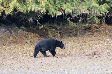 IMG_0808