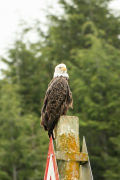 IMG_0848