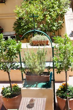 22072012-109.jpg