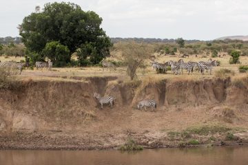 IMG_7737
