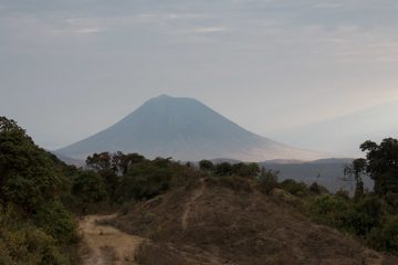 IMG_6596