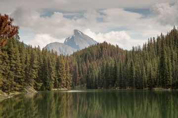 IMG_0043