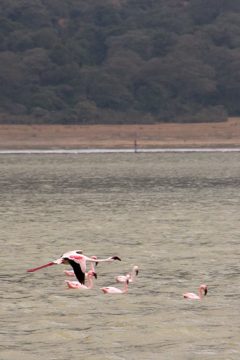 IMG_6542