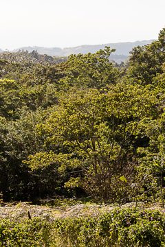 IMG_8699