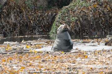 IMG_0860